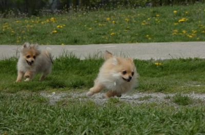 May7_06_317.JPG