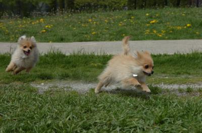 May7_06_318.JPG