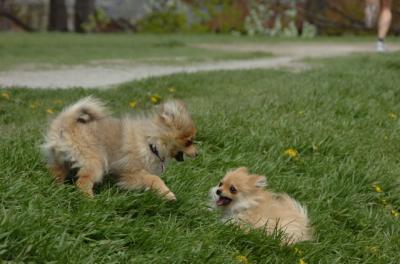 May7_06_322.JPG