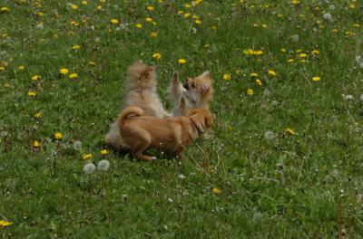May7_06_324.JPG