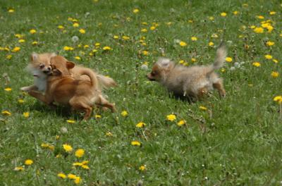 May7_06_325.JPG