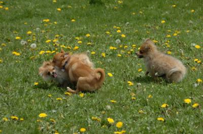May7_06_326.JPG