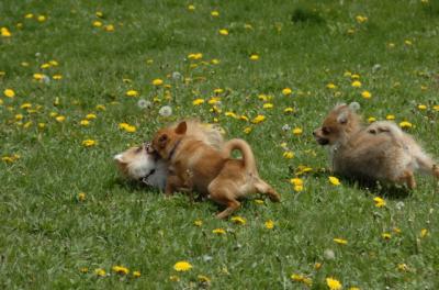May7_06_327.JPG
