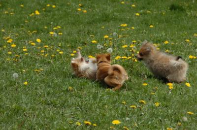 May7_06_328.JPG