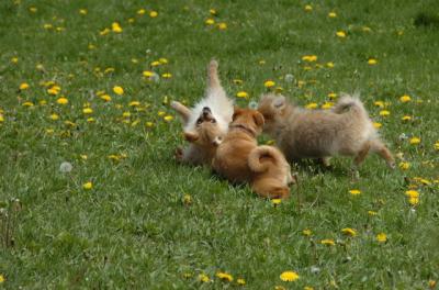 May7_06_329.JPG