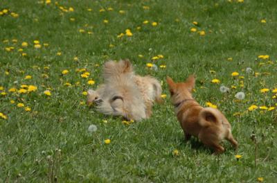 May7_06_331.JPG