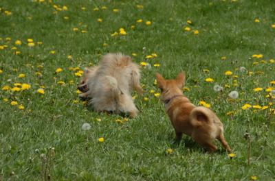 May7_06_332.JPG