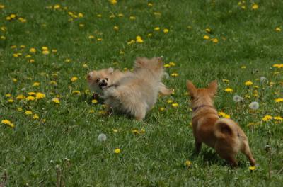 May7_06_333.JPG