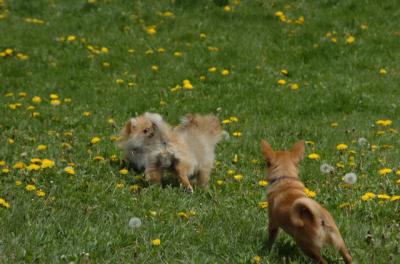May7_06_334.JPG