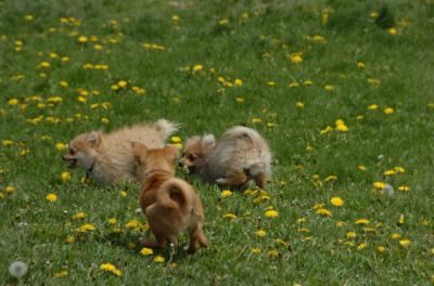 May7_06_335.JPG