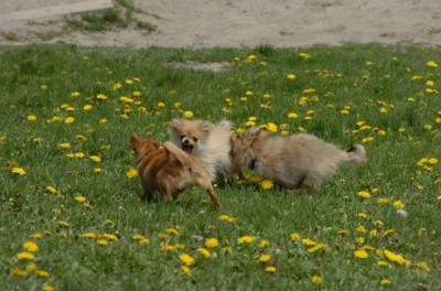 May7_06_336.JPG