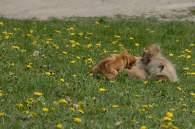 May7_06_337.JPG