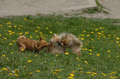 May7_06_338.JPG