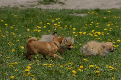 May7_06_339.JPG