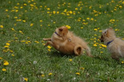 May7_06_342.JPG