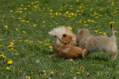 May7_06_343.JPG