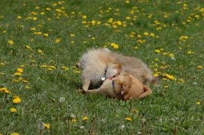 May7_06_344.JPG