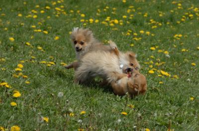 May7_06_345.JPG