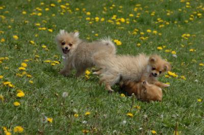 May7_06_346.JPG