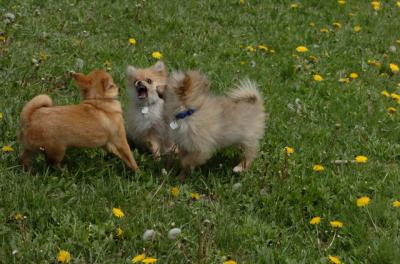 May7_06_348.JPG