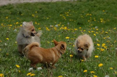 May7_06_350.JPG