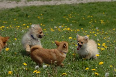 May7_06_351.JPG