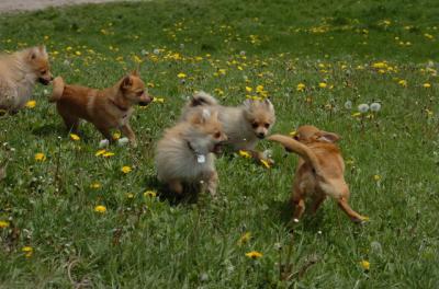 May7_06_352.JPG