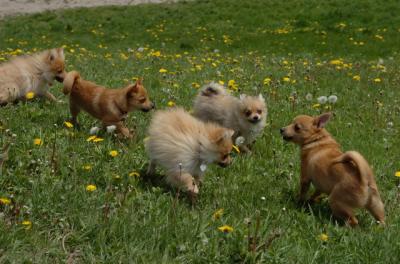 May7_06_353.JPG