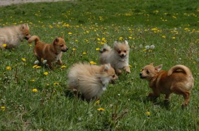 May7_06_354.JPG