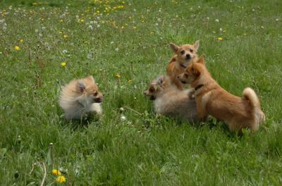 May7_06_356.JPG