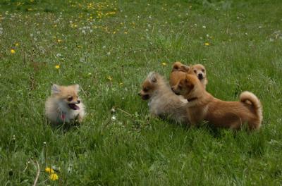 May7_06_357.JPG