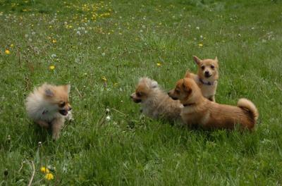 May7_06_358.JPG
