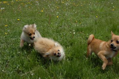 May7_06_359.JPG