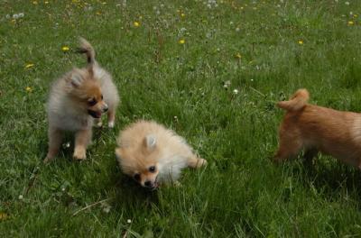 May7_06_360.JPG