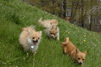 May7_06_361.JPG