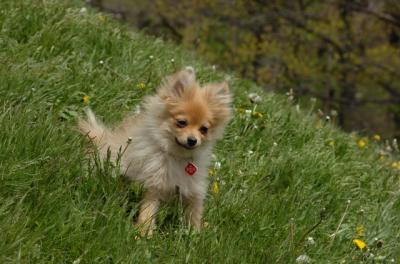 May7_06_362.JPG