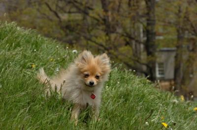 May7_06_363.JPG