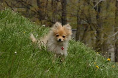 May7_06_364.JPG