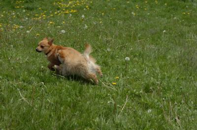 May7_06_365.JPG