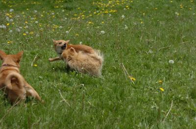 May7_06_366.JPG