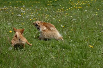 May7_06_367.JPG