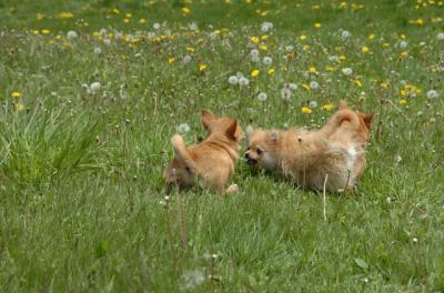 May7_06_368.JPG