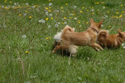 May7_06_369.JPG