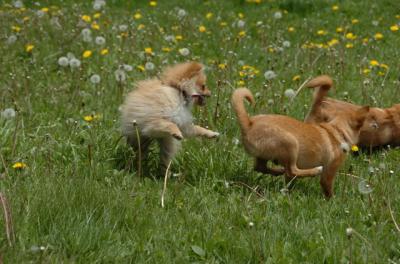 May7_06_370.JPG