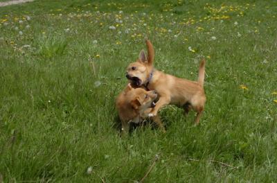 May7_06_371.JPG