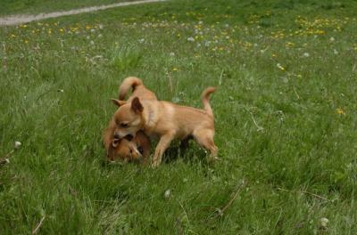 May7_06_372.JPG