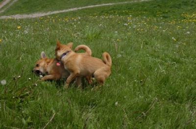 May7_06_373.JPG