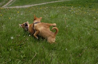 May7_06_374.JPG