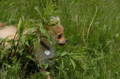 May7_06_376.JPG