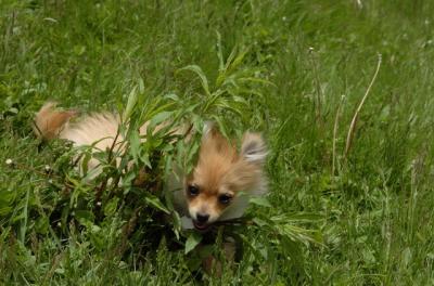 May7_06_378.JPG